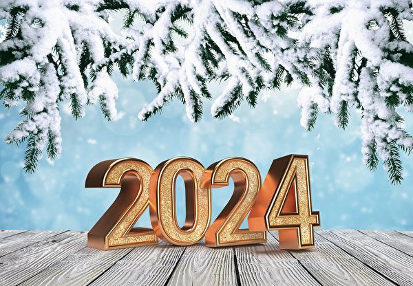 Balance sanitario del año 2024