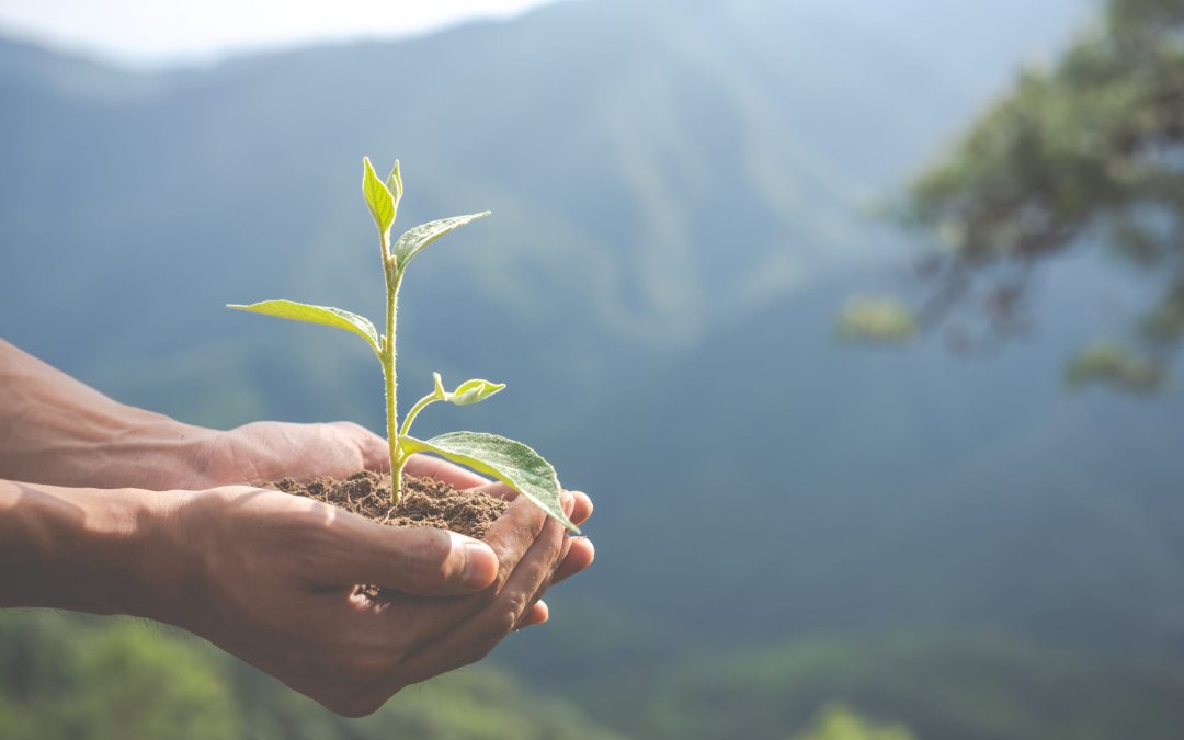 La Federación de Asociaciones para la Defensa de la Sanidad Pública ante el Día Mundial del Medio Ambiente