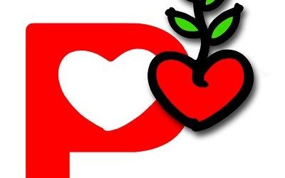 Análisis de los presupuestos de 2026 en Navarra